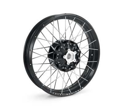 Laced 19 in. Front Wheel