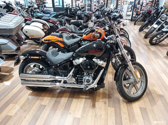 Harley-Davidson Softail FXST Softail Standard 2024
