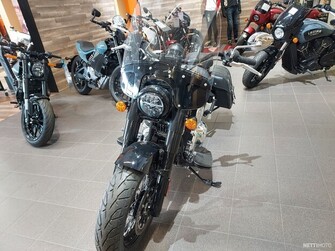 Indian Chief  2024