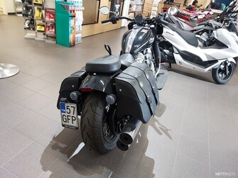 Indian Chief  2024