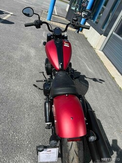 Indian Chief  2024