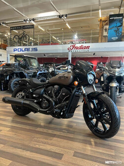 Indian Scout  2025