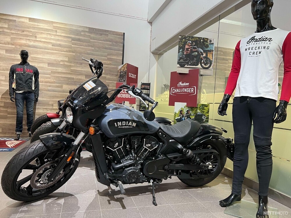 Indian Scout  2023