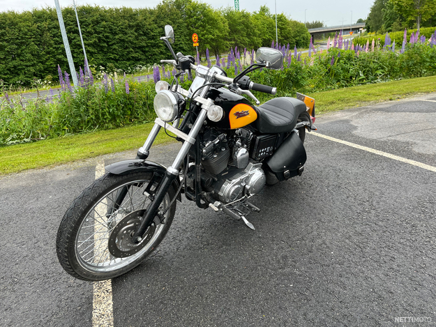 Harley-Davidson Sportster XL 1200 C Sportster Custom 2001