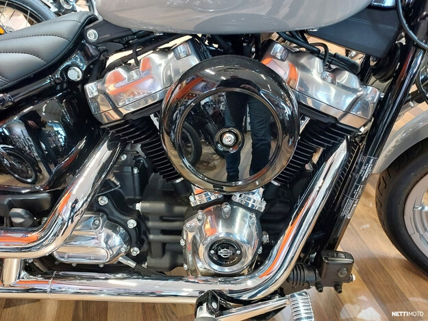 Harley-Davidson Softail FXST Softail Standard 2024